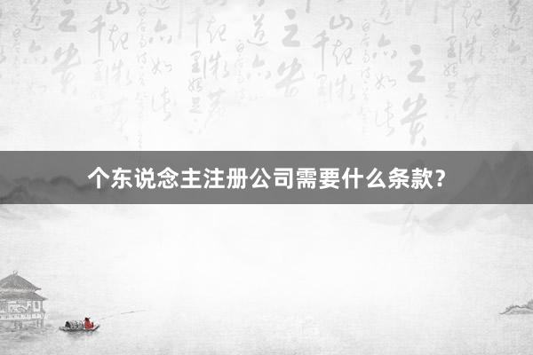 个东说念主注册公司需要什么条款？