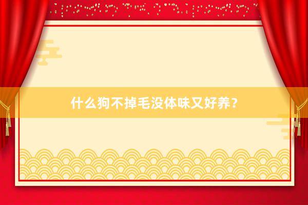 什么狗不掉毛没体味又好养?
